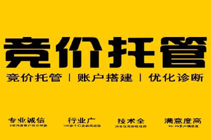 某汽车品牌SEM托管全流程解析